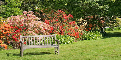 Borde-Hill-and-Garden-Haywards-Heath