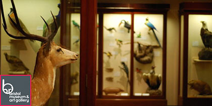 Bristol-Free-Museum-and-Art-Gallery