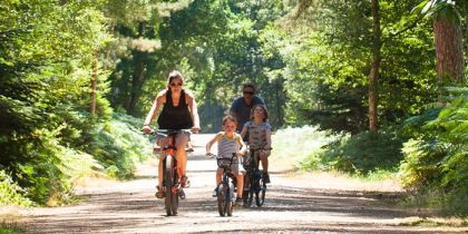 Black Park Country Park, Wexham