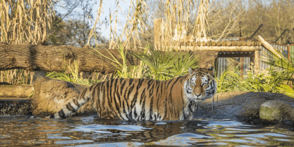 Paradise Wildlife Park Spring Jpeg